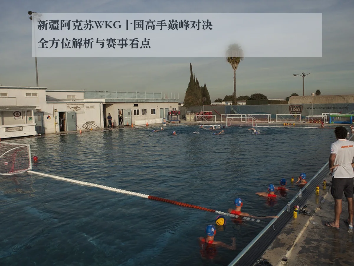 新疆阿克苏WKG十国高手巅峰对决全方位解析与赛事看点